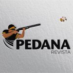 Desenvolvimento de Marca - Pedana