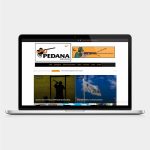 Desenvolvimento de Marca e Site - Pedana